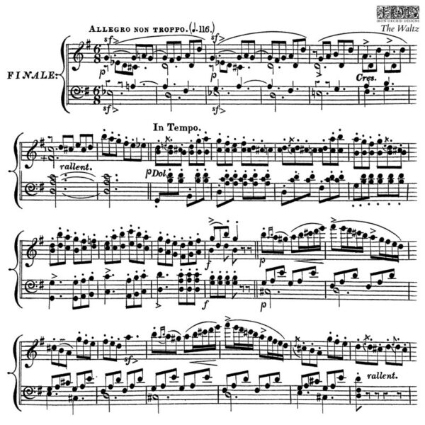 tampons-the-waltz IOD