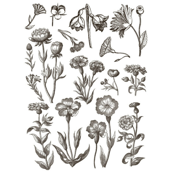 transferts-floriography-paint-inlay IOD – Image 5