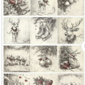 Papier de riz 12 cases de Noel