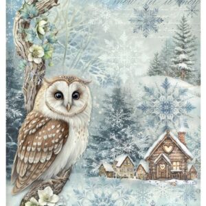Papier de riz maison des chouettes le hibou