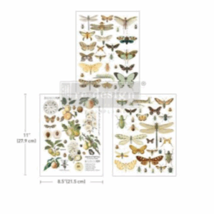 Middy Transfers® - Bug Whisperer LIBELLULE