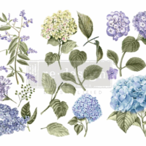 Transfert mystic hydrangea
