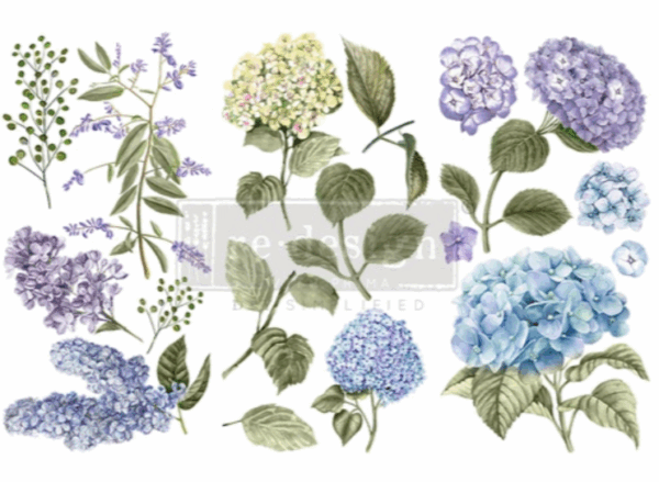 Transfert mystic hydrangea