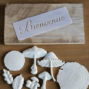 Kit planche champignons