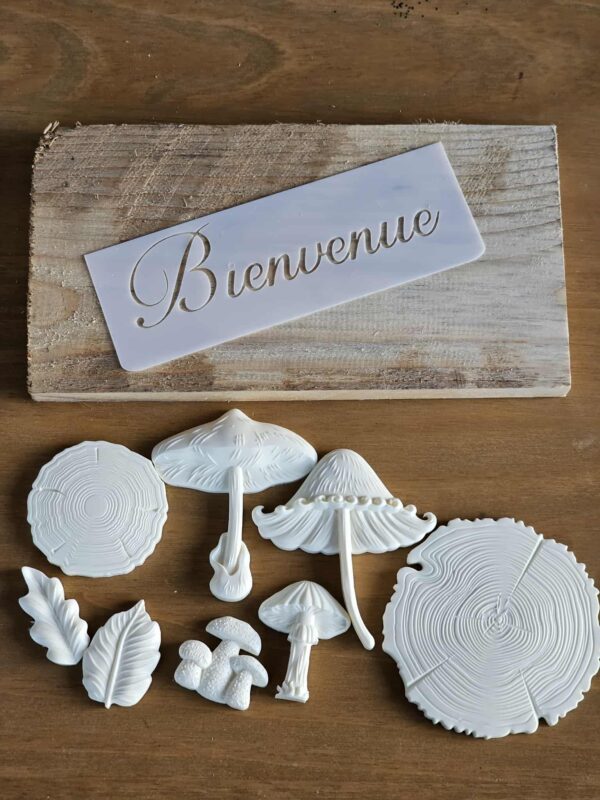 Kit planche champignons