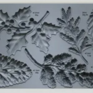 Moule silicone Winter Forage IOD