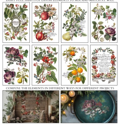 Transfert Clementine IOD