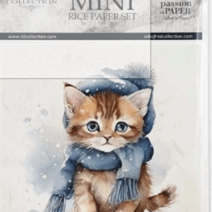 LOT 6 mini aminaux chats hiver