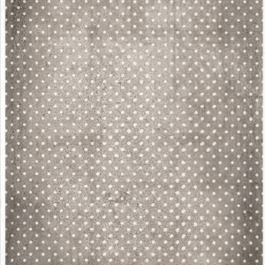 Papier de riz vieux pois gris