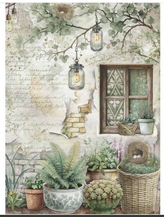 Herbier Stamperia Silvae A4 Papier de riz - Fenêtre