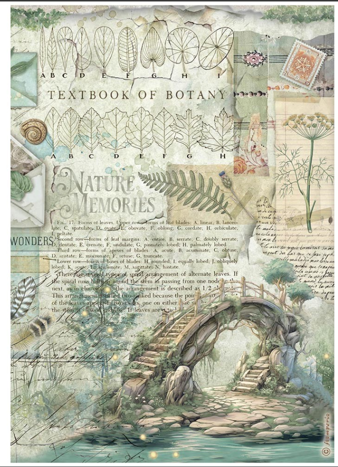 Papier de riz A4 Herbarium Silvae Bridge Stamperia