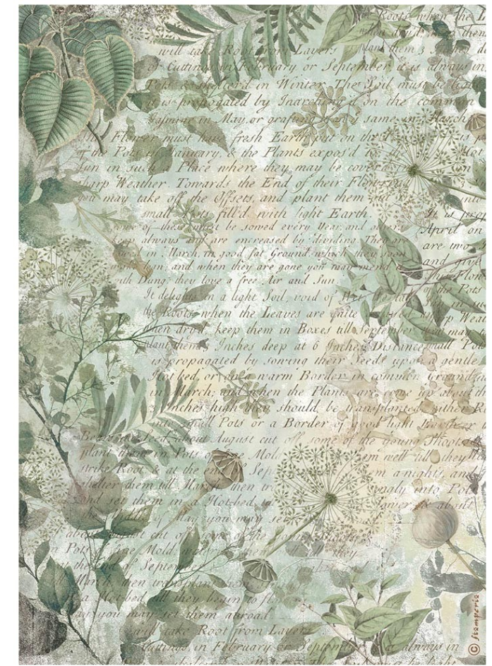 Papier de riz A4 Herbarium Silvae Leaves Background Stamperia