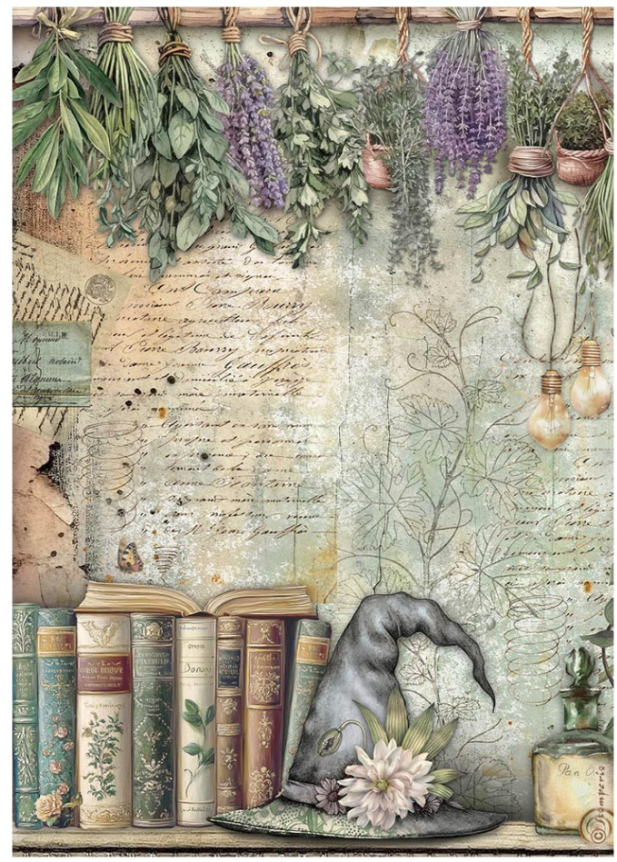 Papier de riz A4 Herbarium Silvae books Stamperia