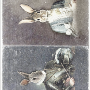 Papier de riz lapins en costumes 149