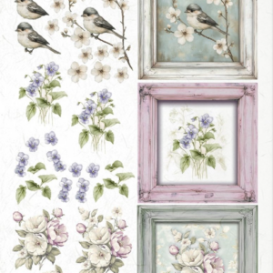 Papier de riz oiseaux et cadres