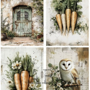 Papier de riz 4 cartes carottes ABSTUDIO