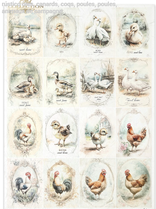 Papier de riz bassecour medaillon 185