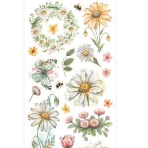 Rubon marguerite et papillon