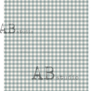 Papier de riz A3 Vichy vert