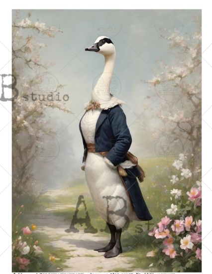 Papier de riz A3 oie habillées