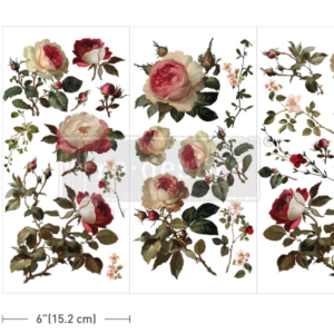 Small Transfers – Midnight Rose