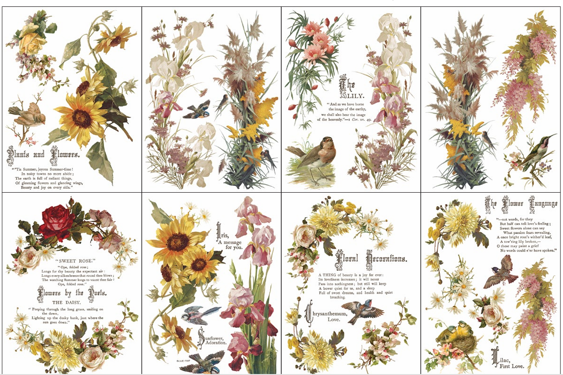 Flowers by poets- transferts IOD