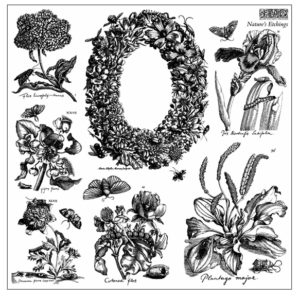 Natures'S Etchings IOD