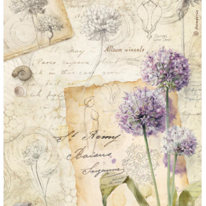 Papier de riz all around Allium