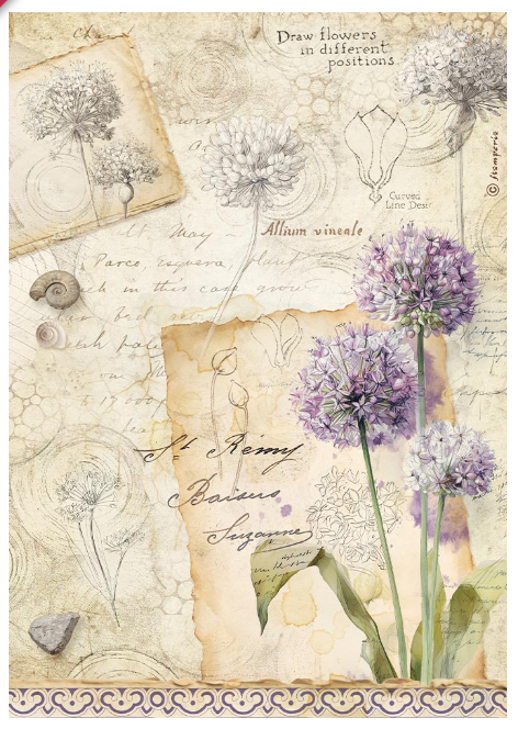 Papier de riz all around Allium