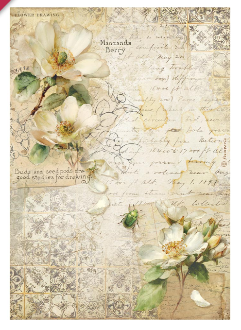 Papier de riz all around Camélia