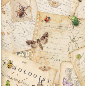 Papier de riz all around lettres