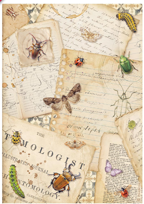 Papier de riz all around lettres