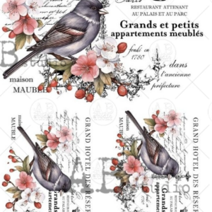 Papier de riz oiseaux ecritures 269