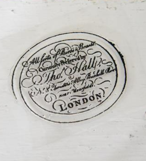Tampon London