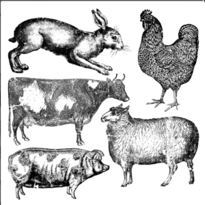 Farm Animals IOD