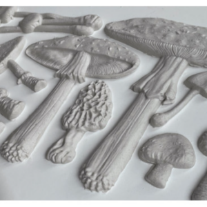 Moule silicone Toadstool IOD