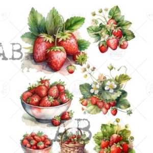 Papier de riz fraisiers 283