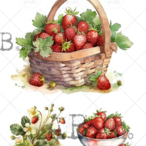 Papier de riz grand panier de fraises 282