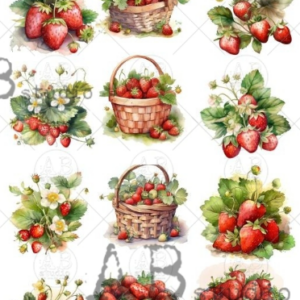 Papier de rizpanier fraises 281