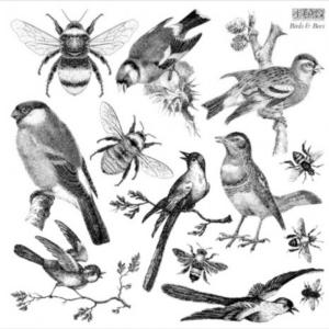 Tampon Birds et Bees IOD