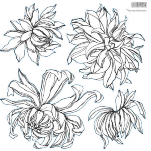 Tampon Chrysanthemum IOD