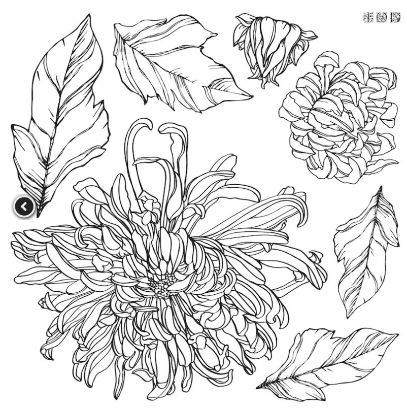Tampon Chrysanthemum IOD – Image 2