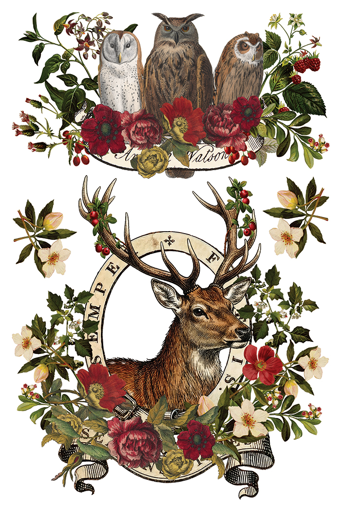 Transfert Stag tavern IOD – Image 7