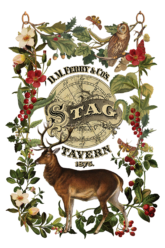 Transfert Stag tavern IOD – Image 6