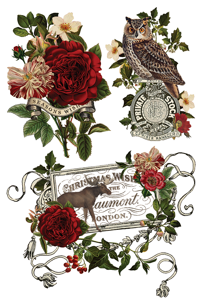 Transfert Stag tavern IOD – Image 5
