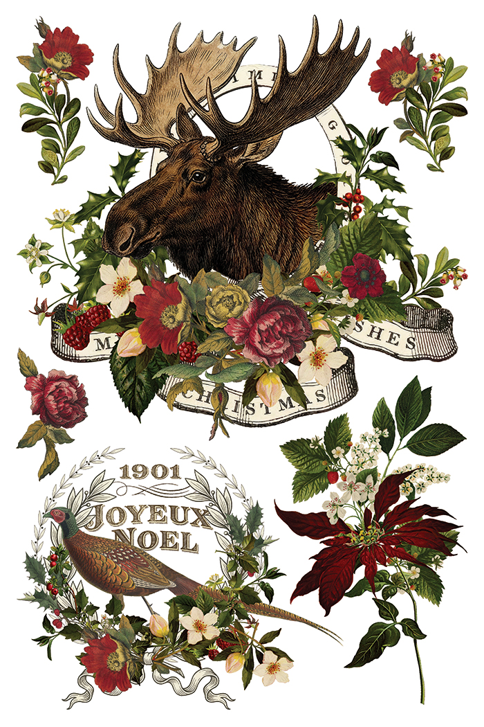 Transfert Stag tavern IOD – Image 3