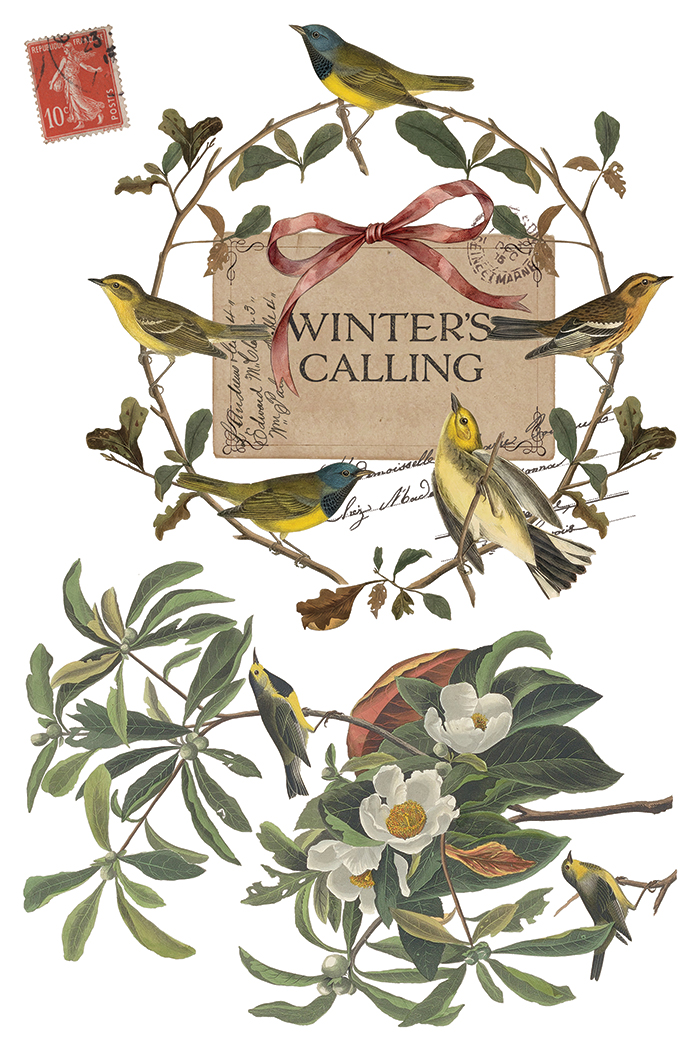 Transfert Winter Calling IOD – Image 9