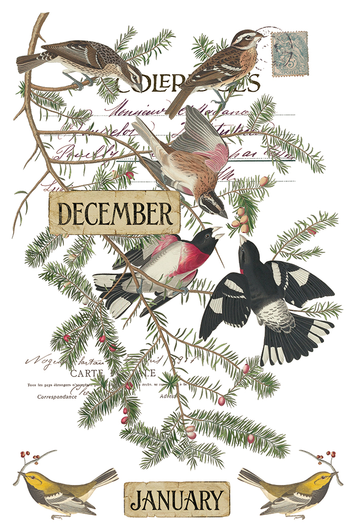 Transfert Winter Calling IOD – Image 12